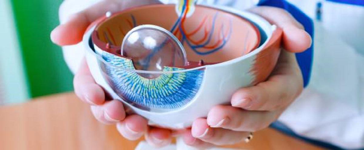 Images East St Kilda Eye Clinic