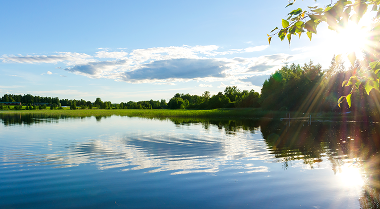 A calm lake surrounded by green foliage, with a cloudy blue sky in the background.