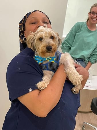 Images Petfolk Veterinary & Urgent Care - Peachtree Corners