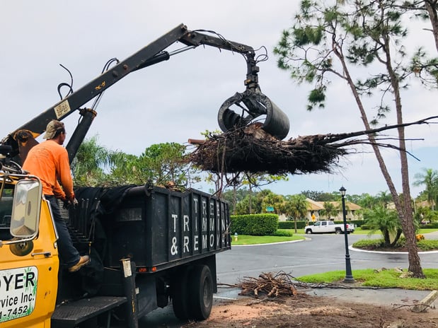 Images Troyer Tree Service