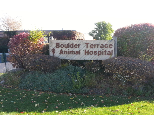 Images VCA Boulder Terrace Animal Hospital