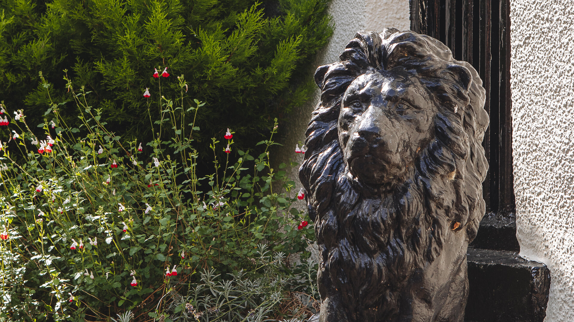 Images Black Lion Hotel