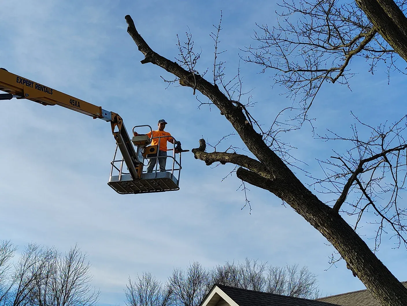 Patriot Tree Service Image