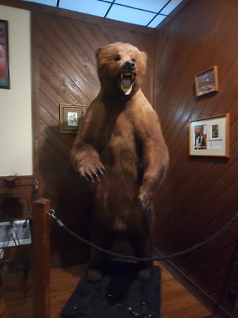 Images Swann Janitorial Services