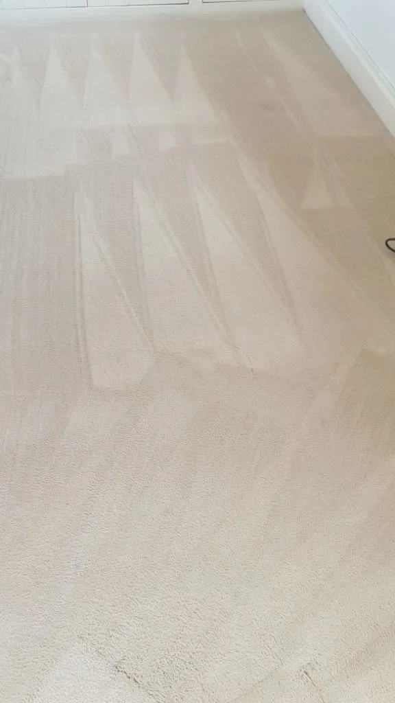 Images Titanium Cleaning