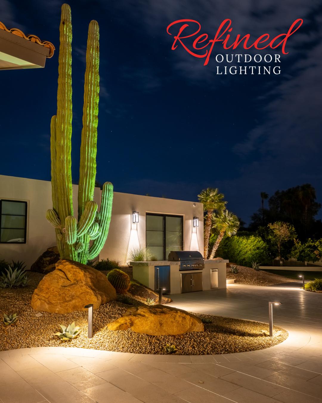 Saguaro cactus lighting in Paradise Valley, Arizona