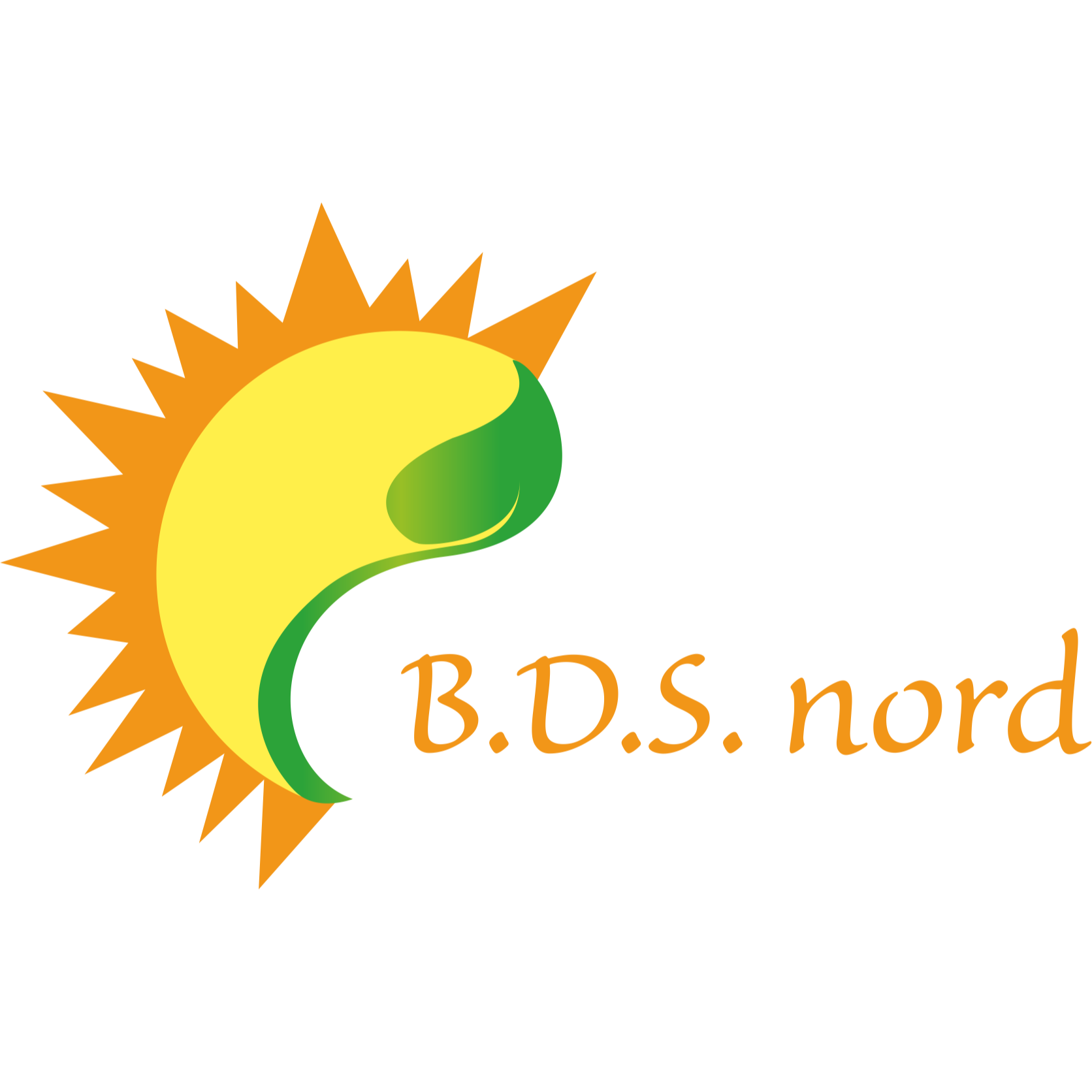Logo B.D.S. nord