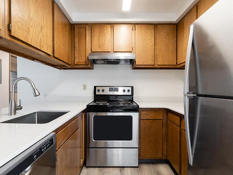 Modern Kitchen