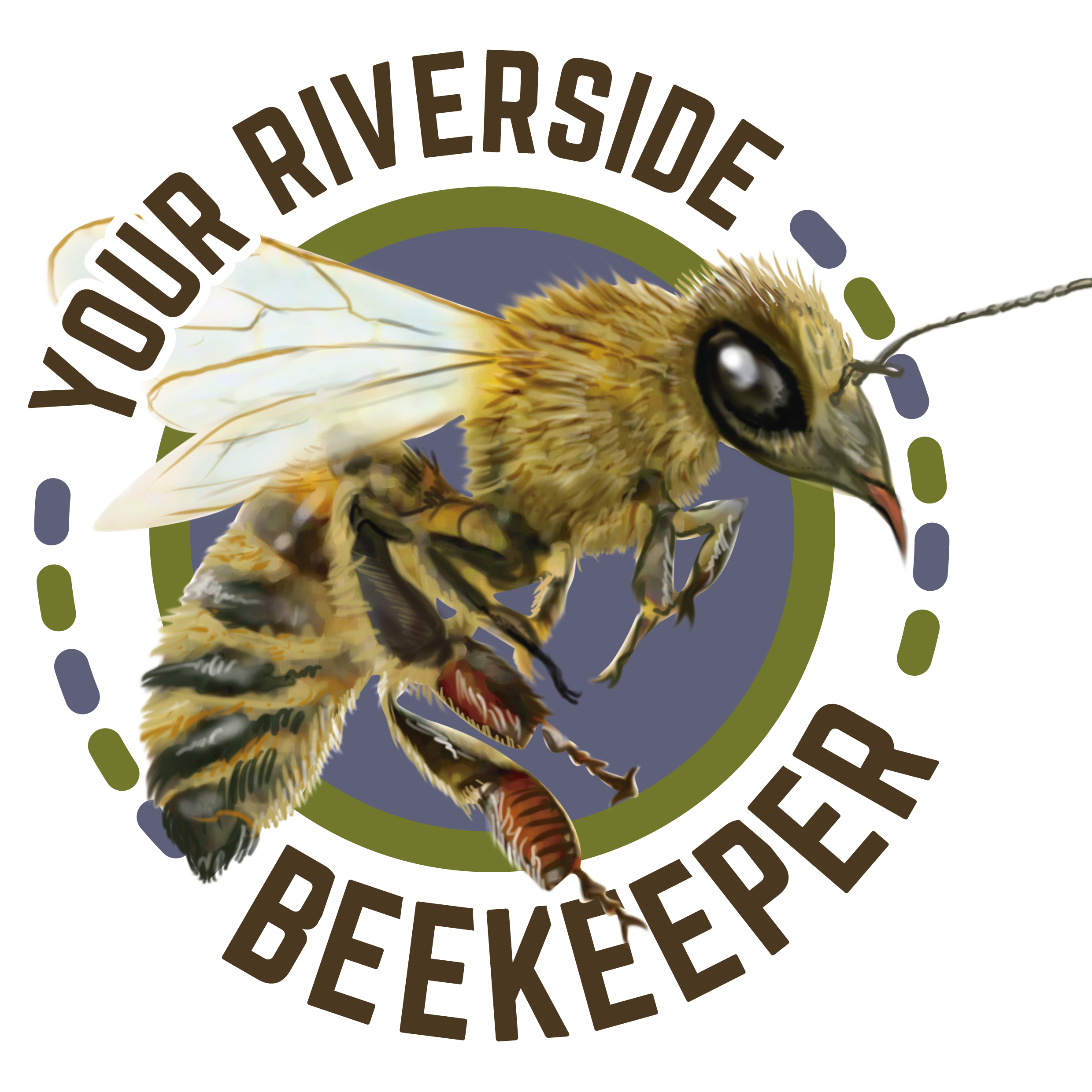 Riverside Bee Removal Pros