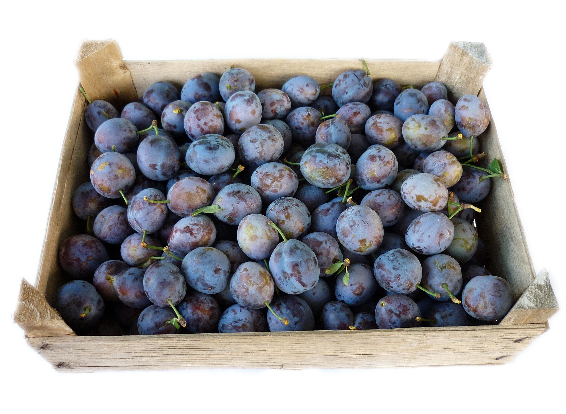 Images Artoner Fructcenter Kft.