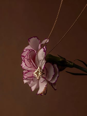 Images Camellia NYC
