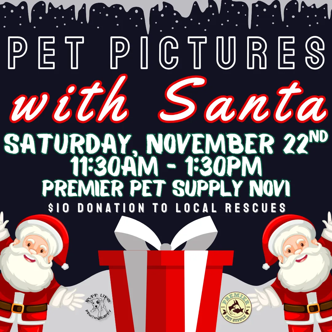 Image of Local Pet Event PET PHOTOS W/ SANTA & RUFF LIFE PHOTOGRAPHY | NOVI Nearby