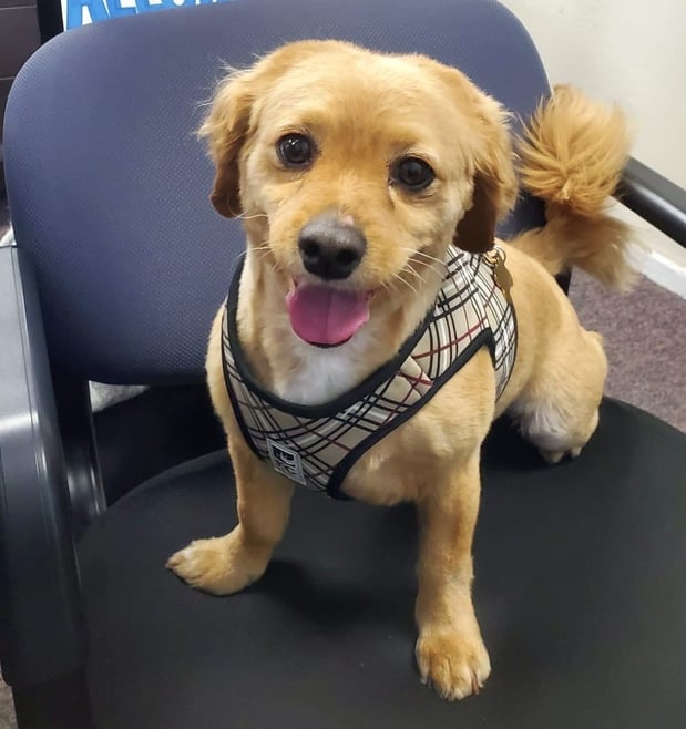 Images Melissa Aiden: Allstate Insurance