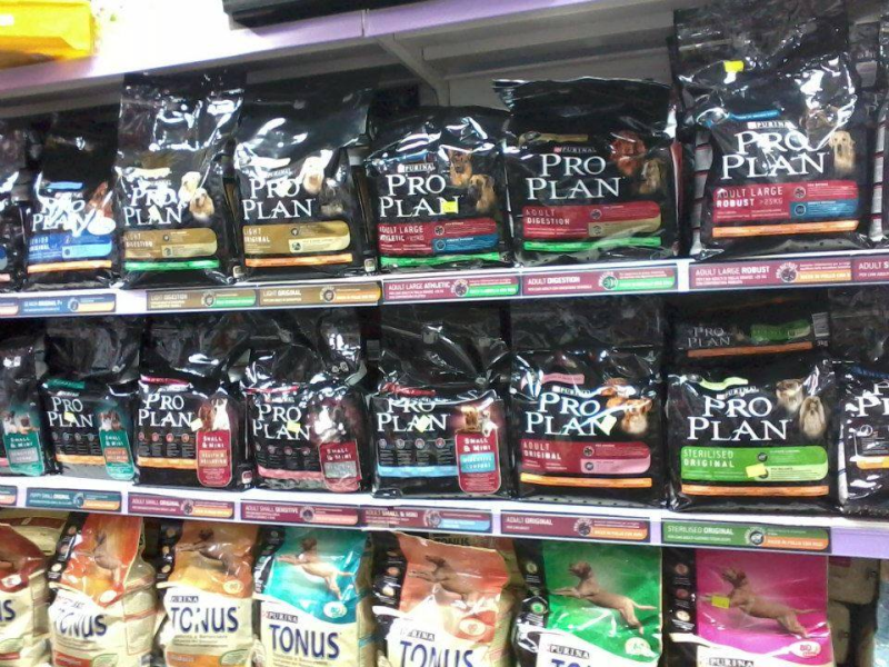 Images Vanity Dog Napoli