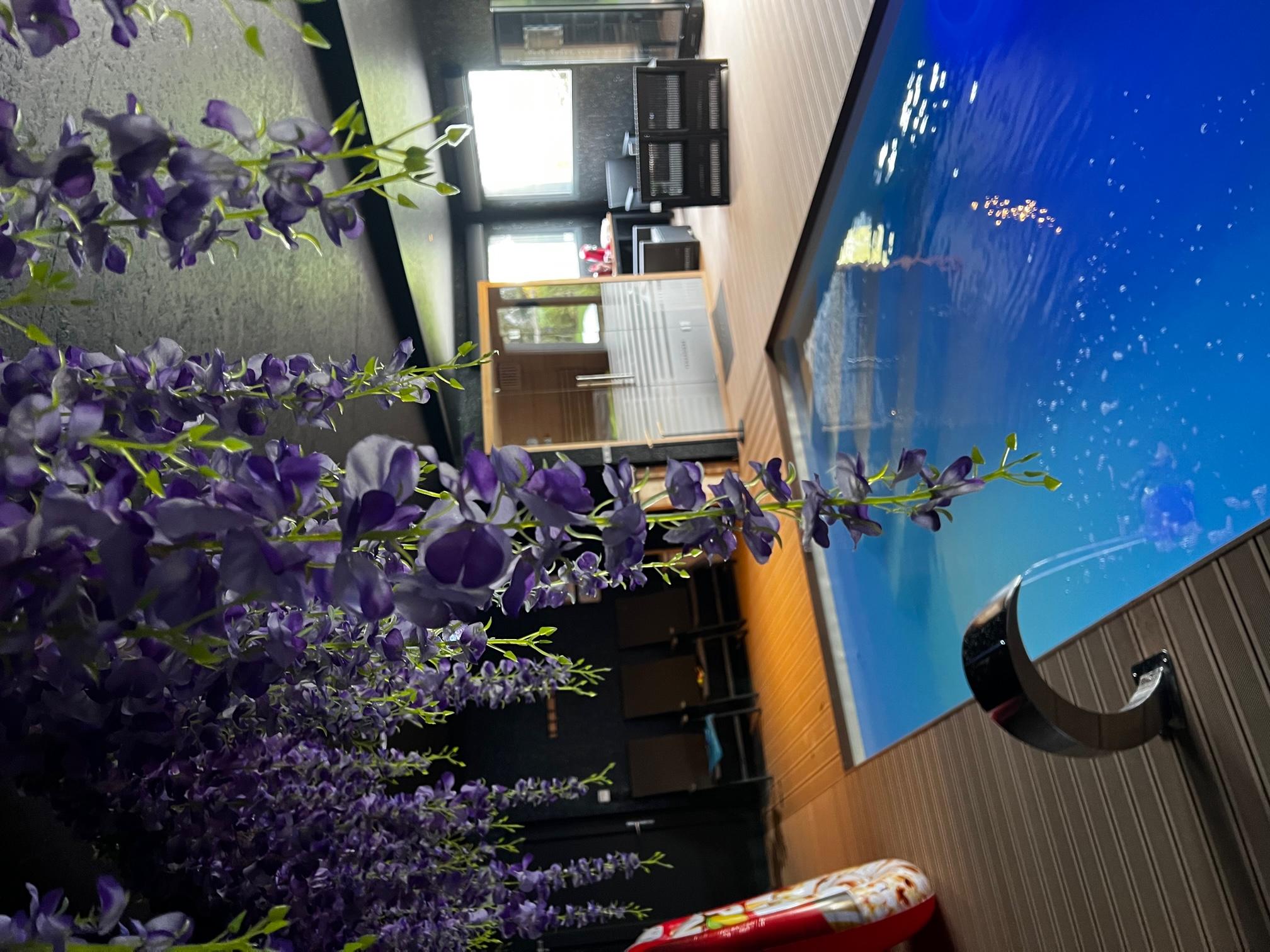 Images Gîte avec Spa & Piscine privatif - La Fénardière - (Calais - Marck)
