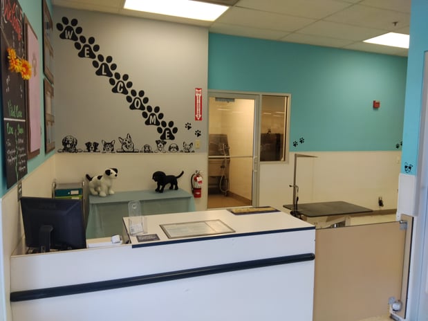 Images Petco