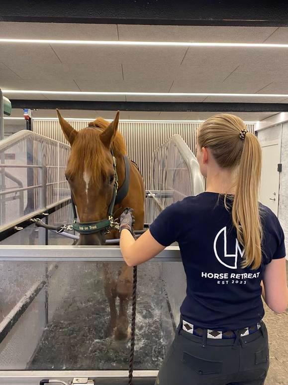 Images LM Horse Retreat ApS