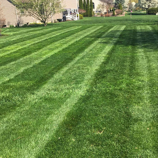 Images Good View Lawn Care