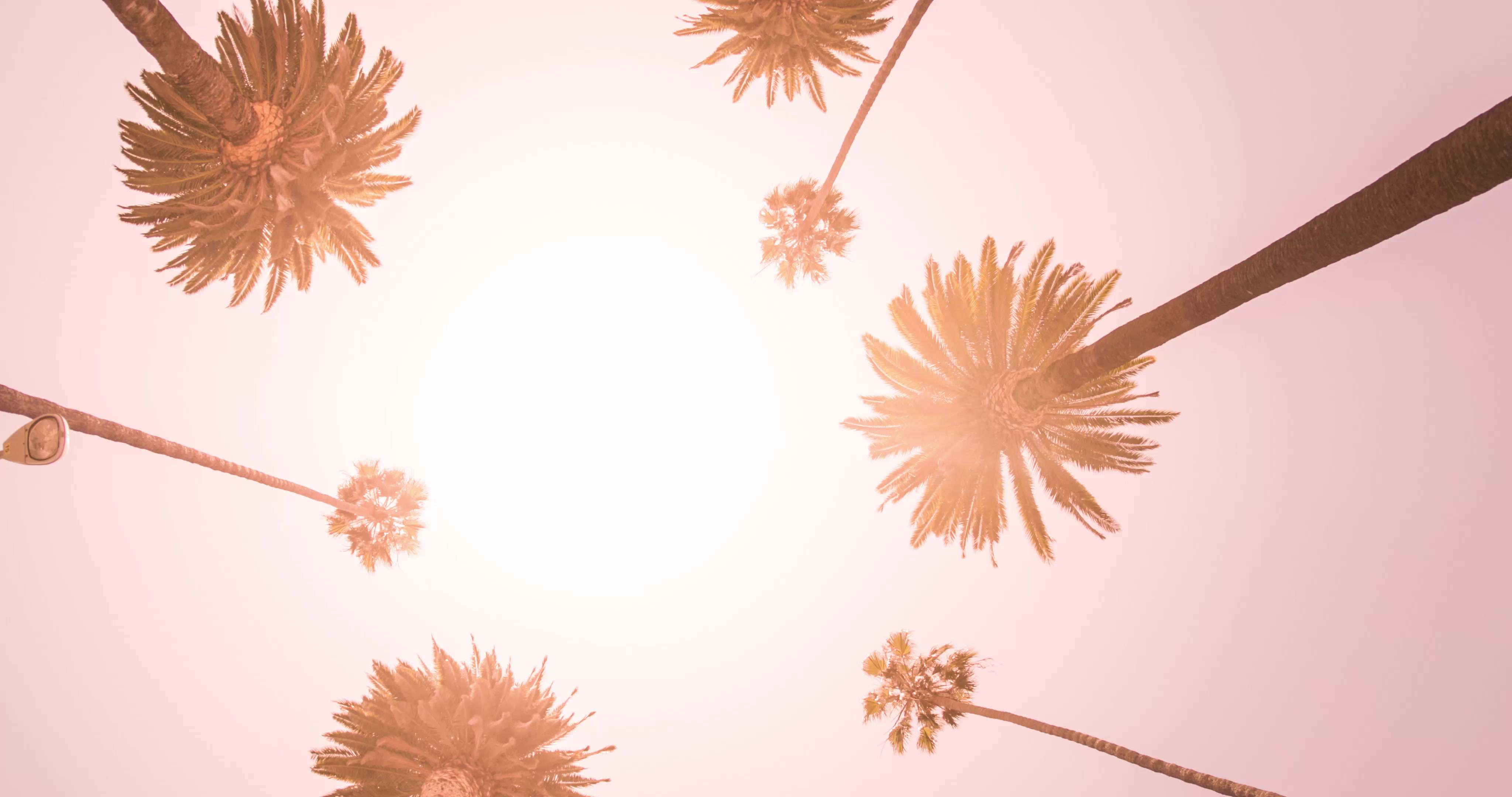 Bild 2 KIBO SUN - Sonnenstudio Kempten in Kempten