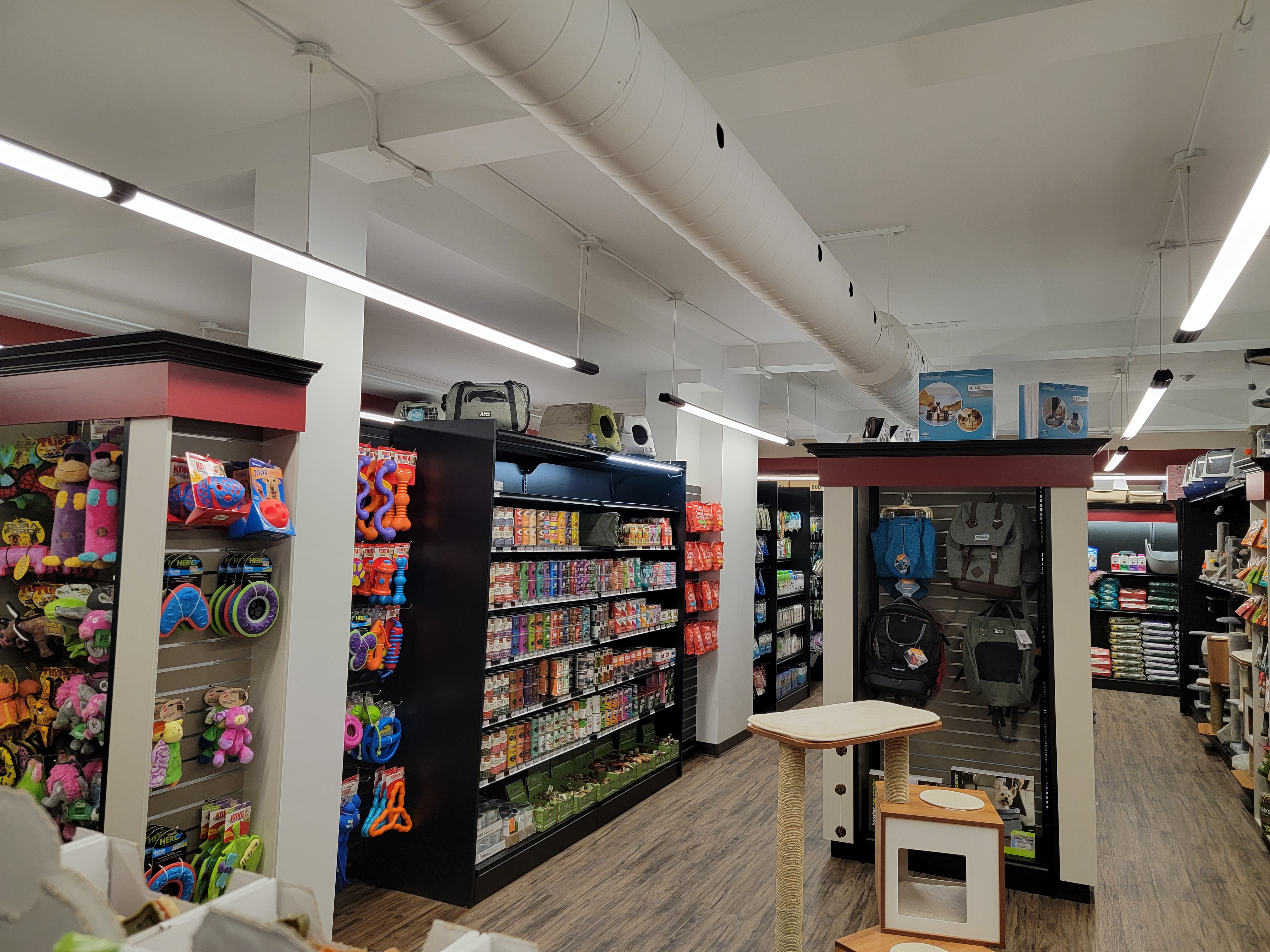 Images Pitou Minou & Compagnons Westmount