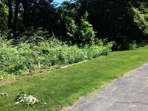 Images A Cut Above Landscaping