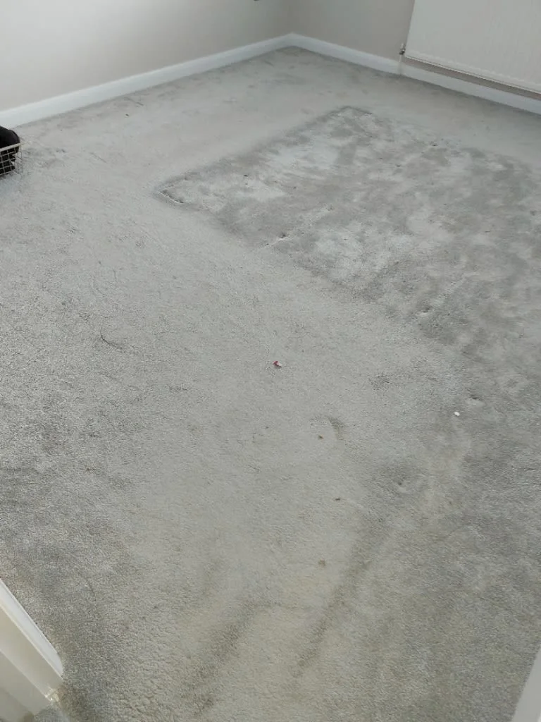 Images Titanium Cleaning