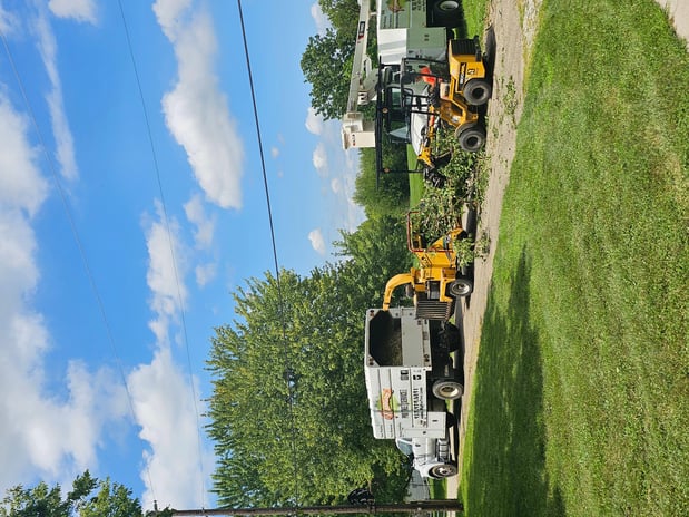 Images Harrison's Pro Tree Service Inc.