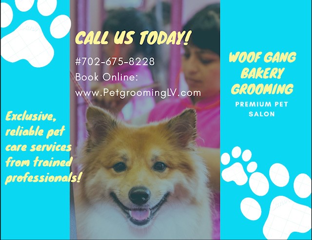 Woof Gang Bakery & Grooming Henderson is a locally owned family operated business in Nevada. We are a one-stop pet store offering a personalized customer experience to every visitor that walks through our door.