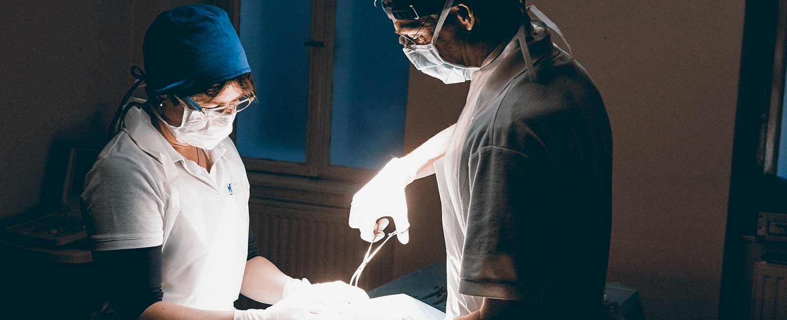 Bild 4 von Tierarztpraxis Rosenhof