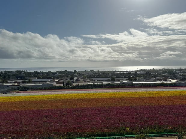 Images Holiday Inn Express & Suites Carlsbad Beach by IHG