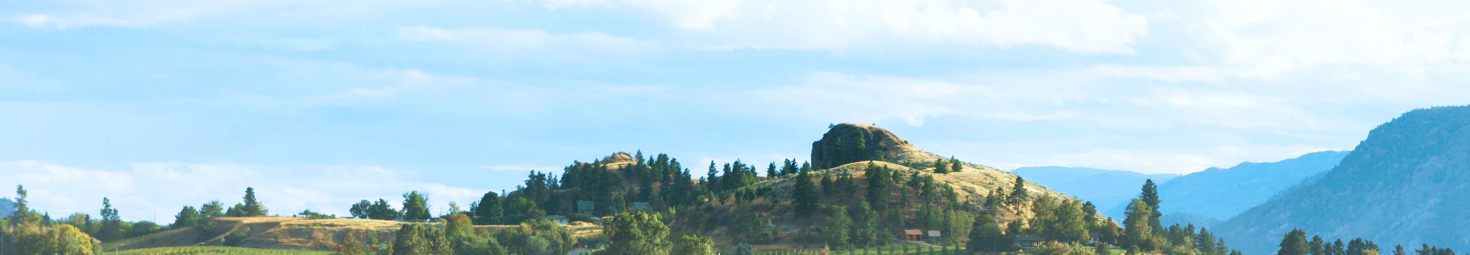 A vineyard on a hill with mountains in the background.