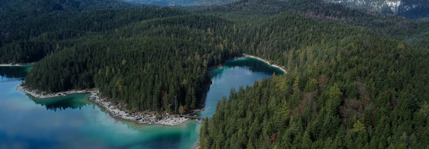 Aerial view of a forest and water,