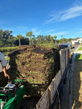 Images Gulf Bay Sod