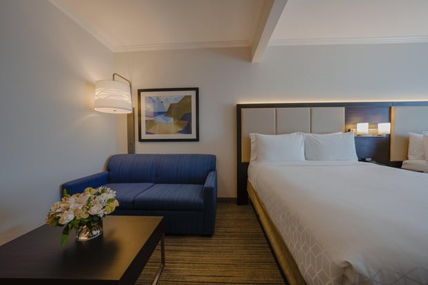 Images Holiday Inn Express & Suites Santa Clara - Silicon Valley by IHG