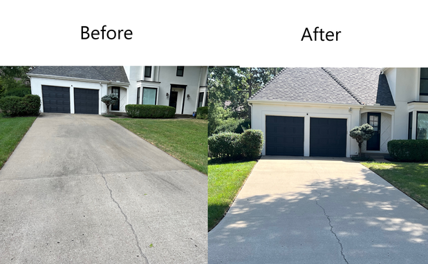 Images Pink Hippo Power Wash