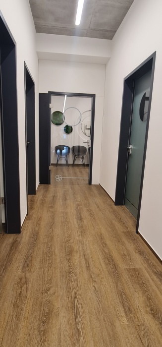 Dr. med. dent. M.Sc. Claudia Katharina Kanitz, Gasstr. 6 b in Hamburg