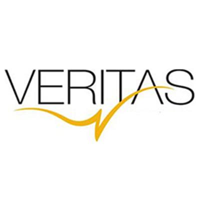 Veritas Business Solutions Logo