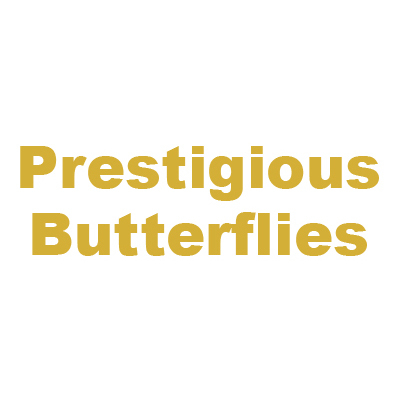 PrestigiousButterflies