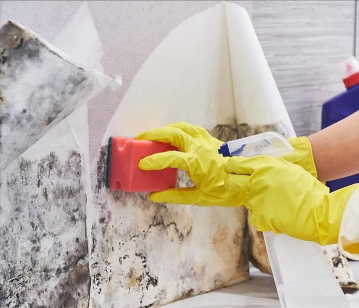 New York State Mold Remediation Contractors
