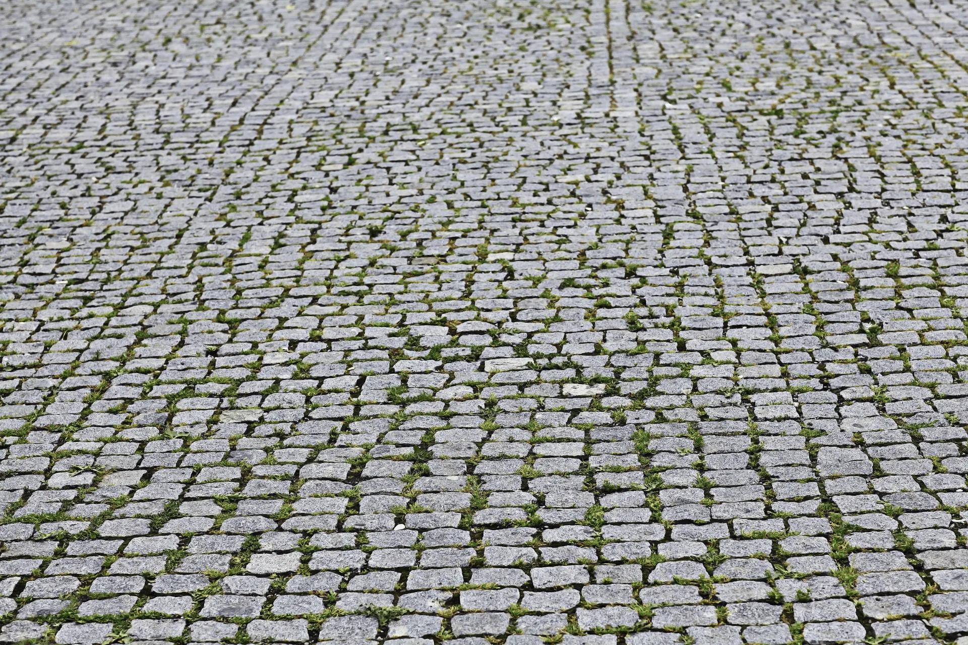 A close-up, high-angle view of a cobblestone street with small patches of grass growing between the stones. The cobblestones are irregularly shaped and weathered, suggesting an old or historic location. The perspective draws the eye towards the distance, creating a sense of depth.