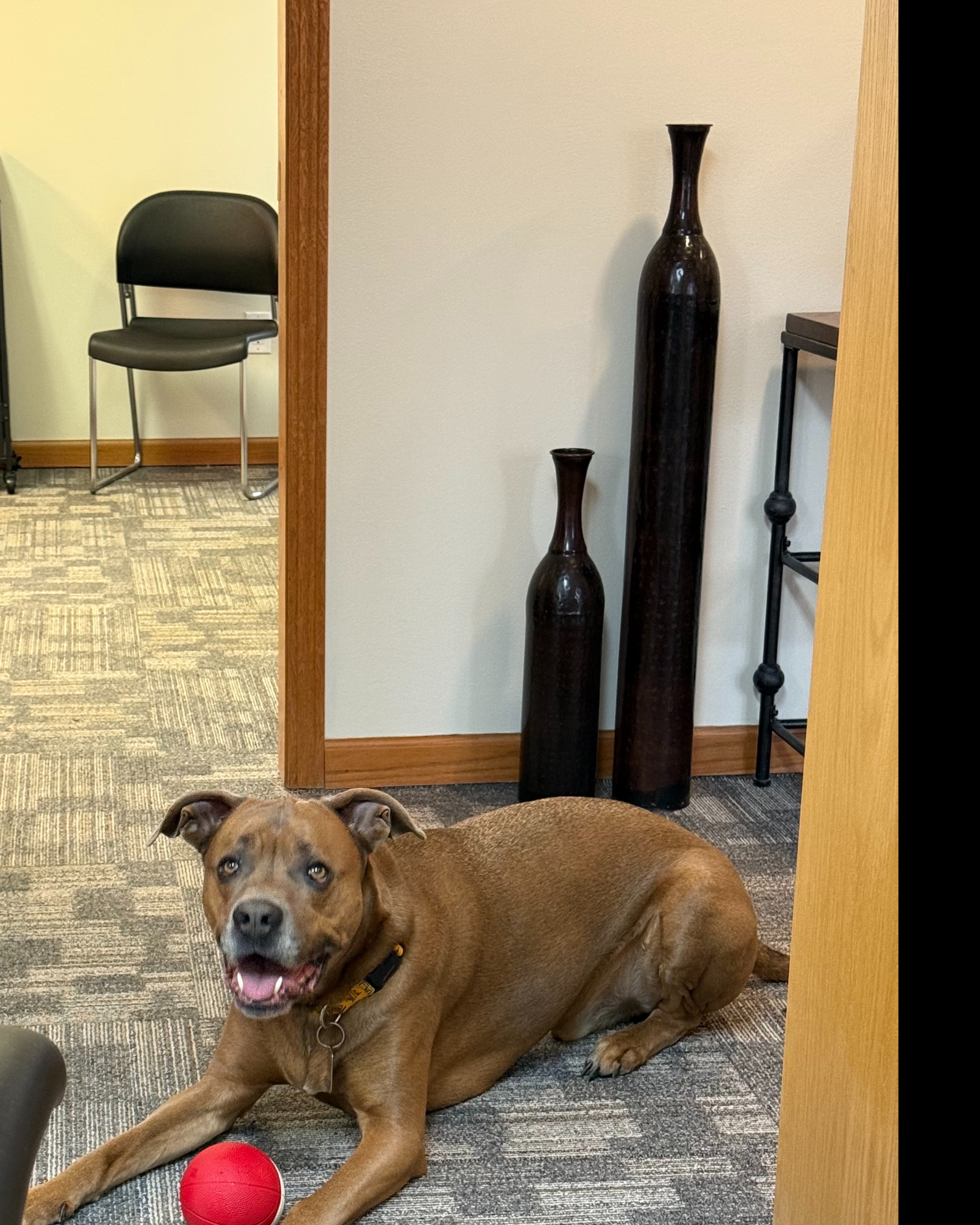 Mike Frank - State Farm Insurance Agent Image