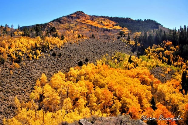 Images Gannett Peak Lodge