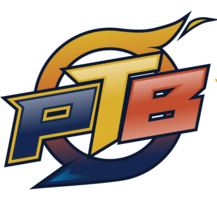 Pro Tech Bros Inc. Logo
