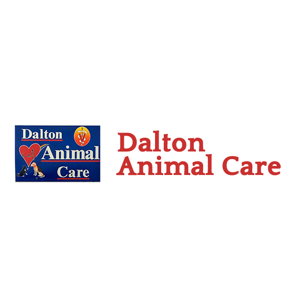 Dalton Animal Care North & Kitty Korner Logo