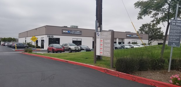 Images VCA Eye Clinic for Animals