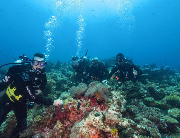 Images Dive Outdoors