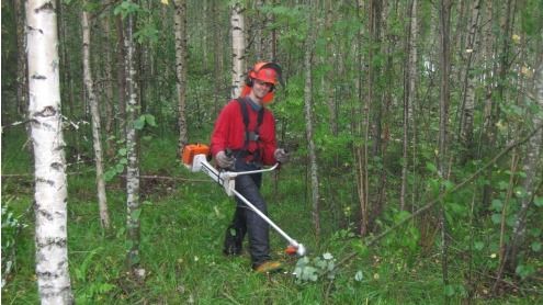 Images Metsuripalvelu HaKa Oy