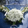 Kundenfoto 20 Blumen & Dekoration | Rita Roth | München