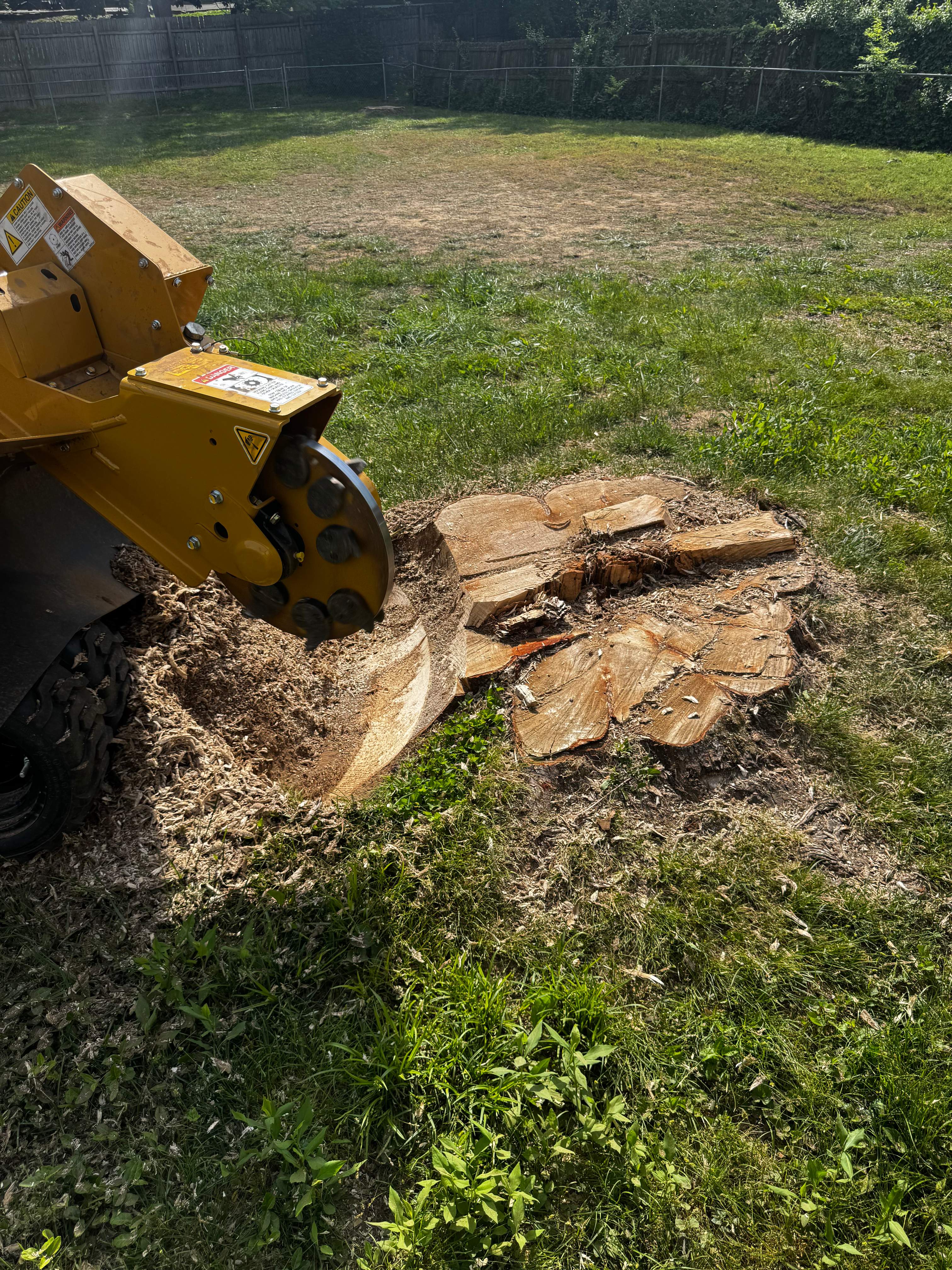 Tree Masters of Tennessee
