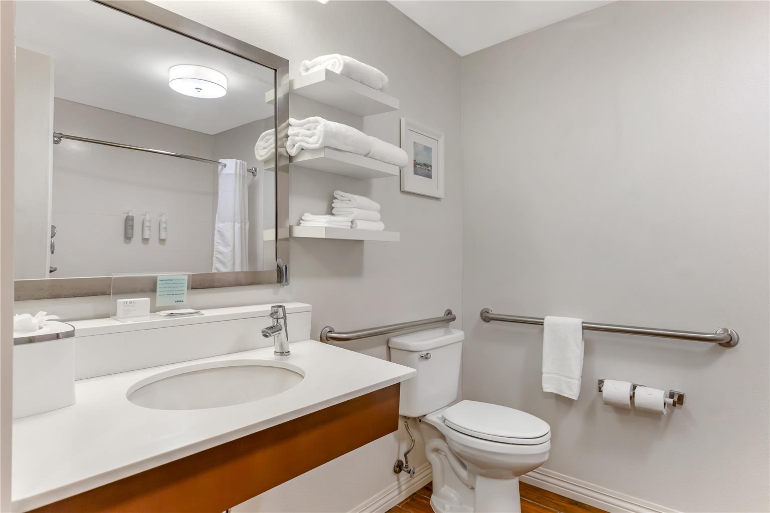 Guest room bath 